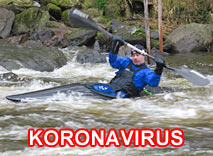 Korona-virus