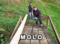 Nov molo